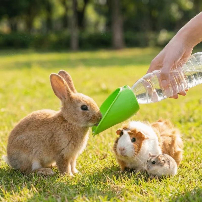 Dog cat Travel Water Bottle  P - Water Bag Collapsible recensie en prijs